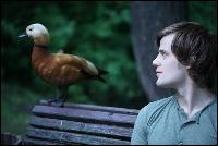 egor_timcunik013 (604x403, 38 kБ...)