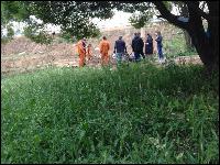 promo008 (604x453, 99 kБ...)