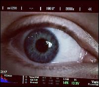 promo013 (542x476, 47 kБ...)