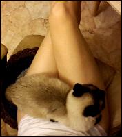 viktorija_korljakova004 (853x960, 76 kБ...)